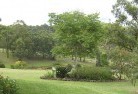 Lindendaleresidential-landscaping-40.jpg; ?>
