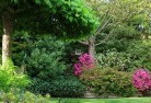 Lindendaleresidential-landscaping-74.jpg; ?>